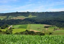Projeto SC Rural 2 para garantir mais renda e melhorias a produtores catarinenses é aprovado no Senado
