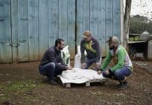 Com mais de 2,3 mil kits entregues, Solo Saudável impulsiona produtividade e preserva a terra