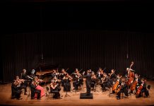 Camerata Florianópolis apresenta obras-primas de Beethoven e Max Bruch no Teatro do CIC
