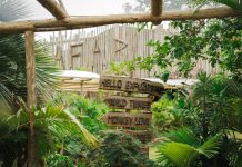 Safari Beach Jurerê celebra feriado de Páscoa com duas datas especiais