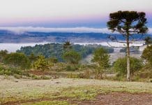 Frio persiste em Santa Catarina nesta semana e chuva forte retorna a partir de sexta Frio persiste em Santa Catarina nesta semana e chuva forte retorna a partir de sexta