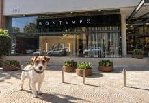 Bontempo Florianópolis comemora 30 anos com programação para crianças e pets no Centro da Capital