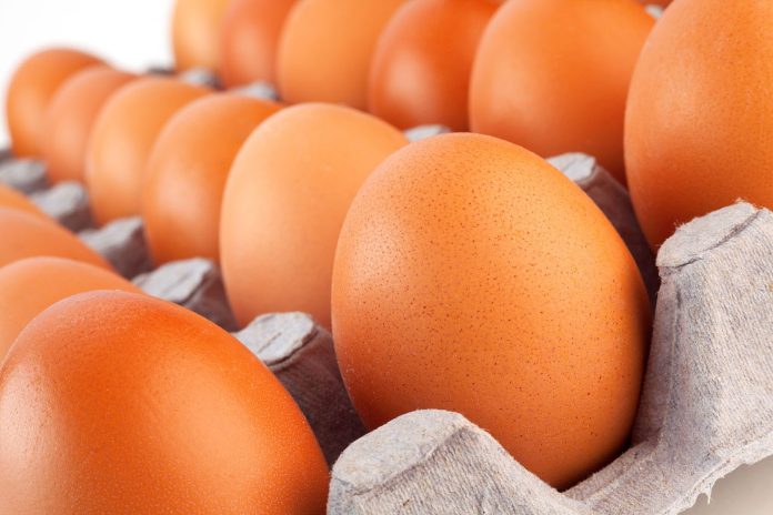 Ovos de casca marrom enfileirados em bandeja de papelão, em close