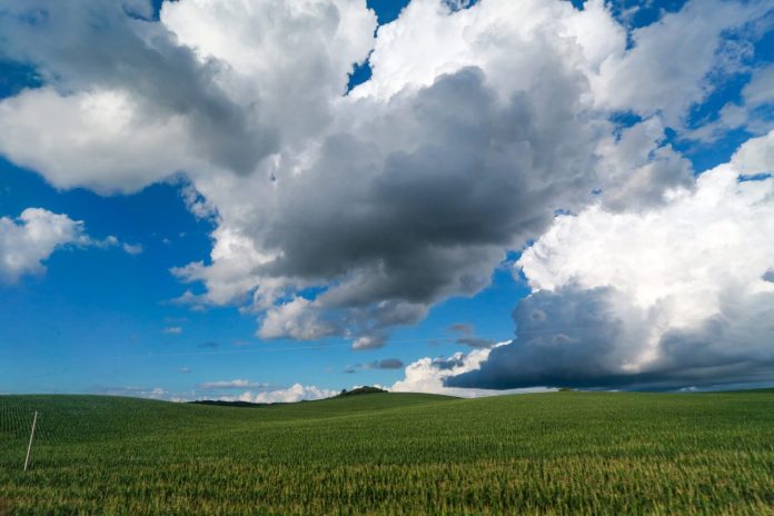 Céu com nuvens carregadas e sol sobre plantação verde em Santa Catarina