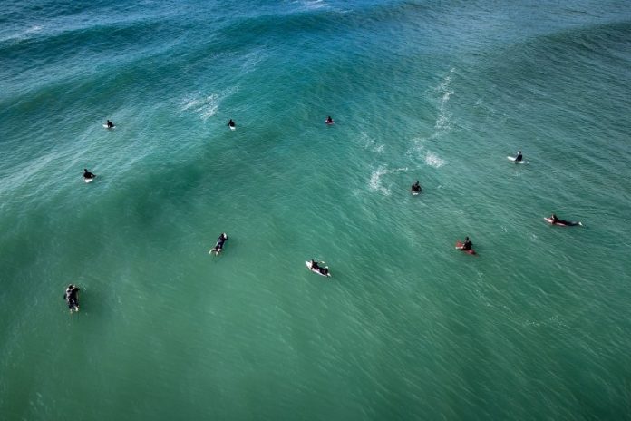 Vista aérea de surfistas deitados nas pranchas esperando onda em mar verde, em praia de Florianópolis