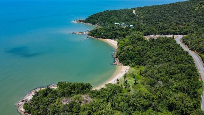 Vista aérea de praia cercada de mata atlântica em Governador Celso Ramos