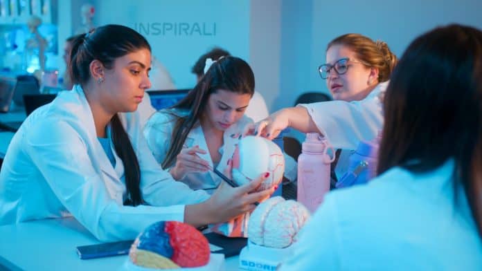 Estudantes de Medicina de jaleco branco estudam modelos anatômicos do cérebro em laboratório